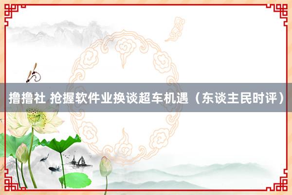 撸撸社 抢握软件业换谈超车机遇（东谈主民时评）