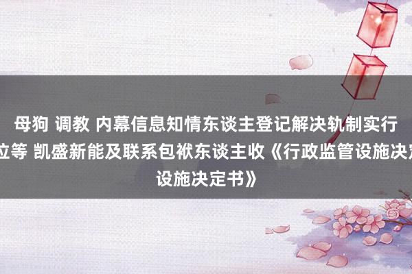 母狗 调教 内幕信息知情东谈主登记解决轨制实行不到位等 凯盛新能及联系包袱东谈主收《行政监管设施决定书》