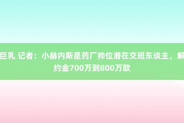 巨乳 记者：小赫内斯是药厂帅位潜在交班东谈主，解约金700万到800万欧