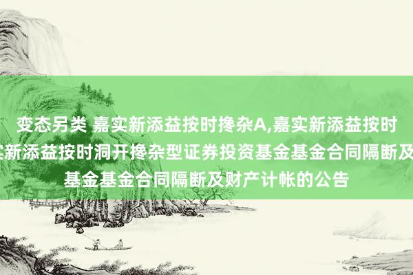 变态另类 嘉实新添益按时搀杂A，嘉实新添益按时搀杂C: 对于嘉实新添益按时洞开搀杂型证券投资基金基金合同隔断及财产计帐的公告