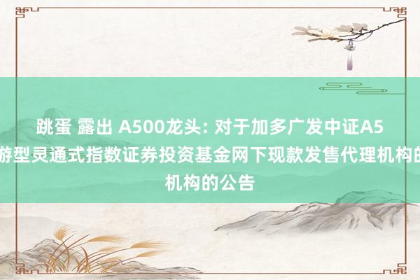 跳蛋 露出 A500龙头: 对于加多广发中证A500交游型灵通式指数证券投资基金网下现款发售代理机构的公告