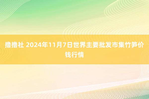 撸撸社 2024年11月7日世界主要批发市集竹笋价钱行情