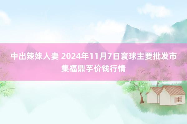 中出辣妹人妻 2024年11月7日寰球主要批发市集福鼎芋价钱行情