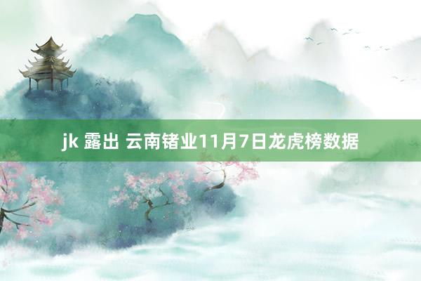 jk 露出 云南锗业11月7日龙虎榜数据