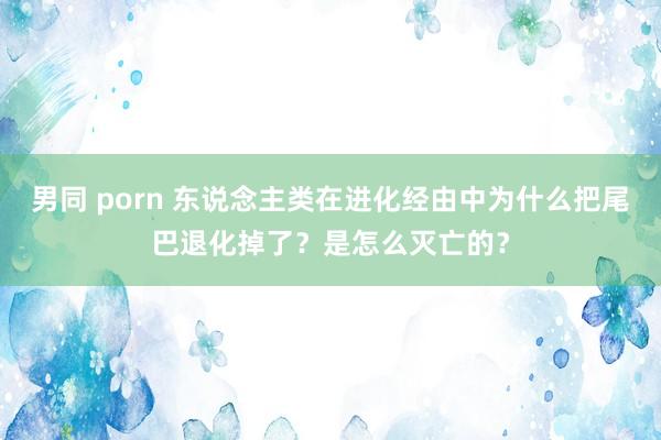 男同 porn 东说念主类在进化经由中为什么把尾巴退化掉了？是怎么灭亡的？