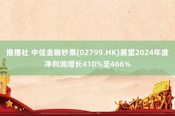 撸撸社 中信金融钞票(02799.HK)展望2024年度净利润增长410%至466%