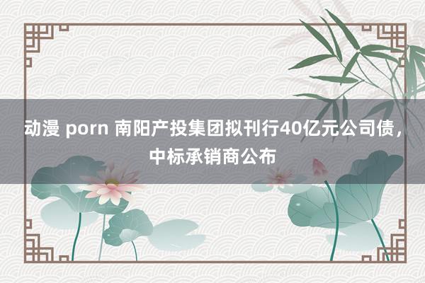 动漫 porn 南阳产投集团拟刊行40亿元公司债，中标承销商公布