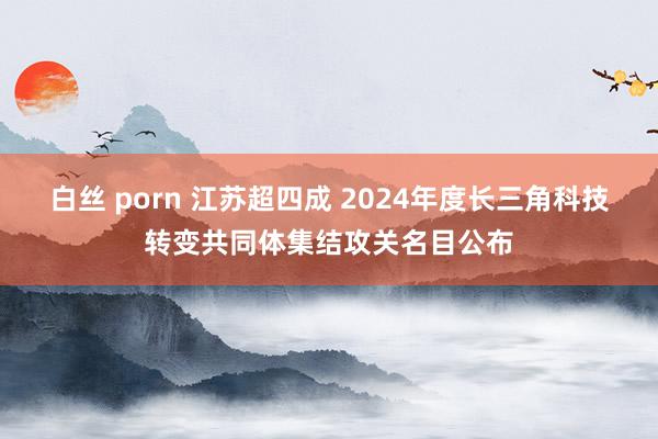 白丝 porn 江苏超四成 2024年度长三角科技转变共同体集结攻关名目公布